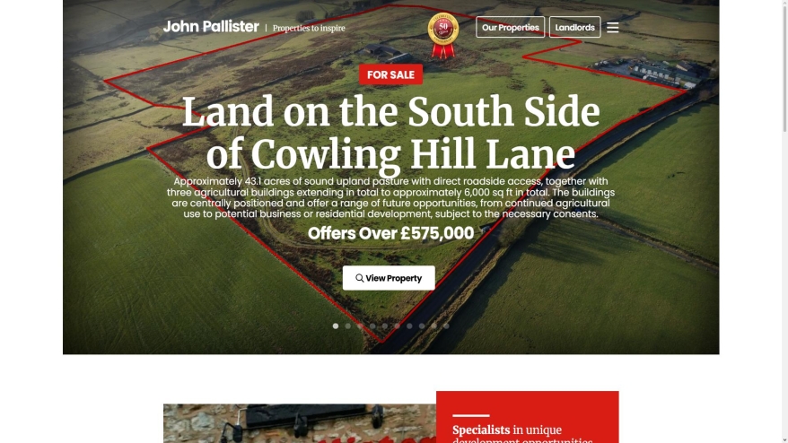 Screenshot of John Pallister website