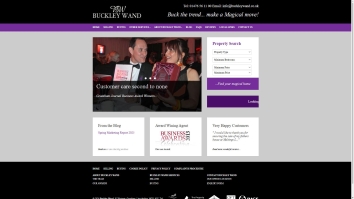Screenshot of Buckley Wand website