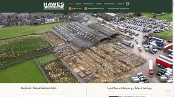 Property Auctions